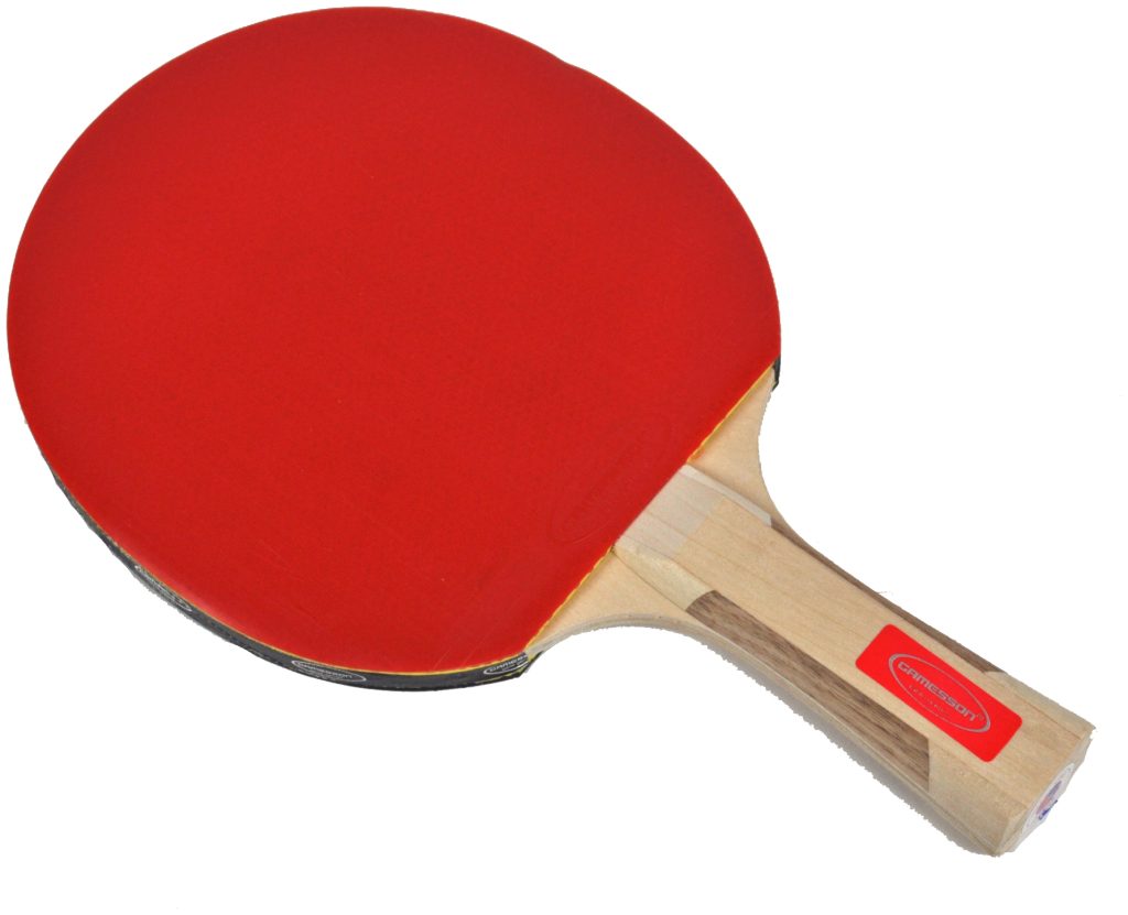Bordtennisracket Gamesson Tai Chi
