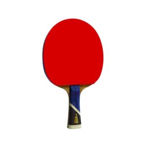 Double Fish Table Tennis Racket 5A+