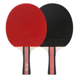 Dubbelfisk DF-02 bordtennisracket