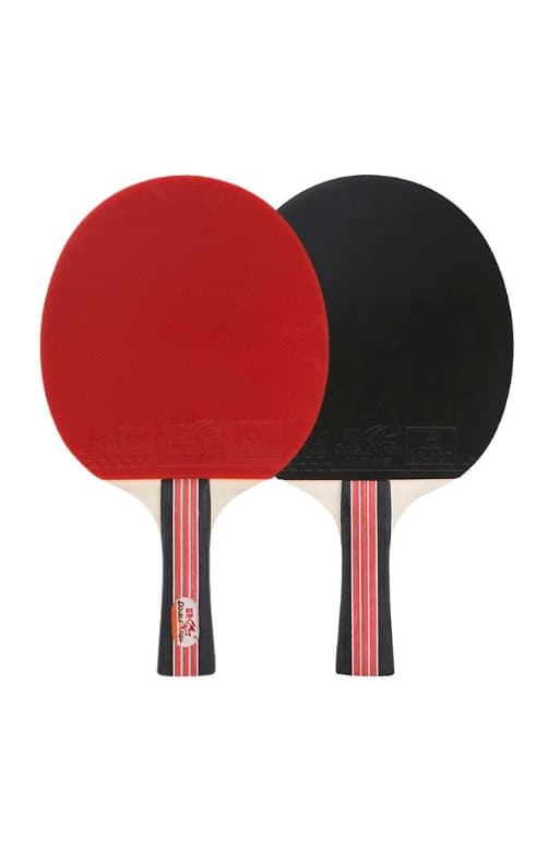 Dubbelfisk DF-02 bordtennisracket